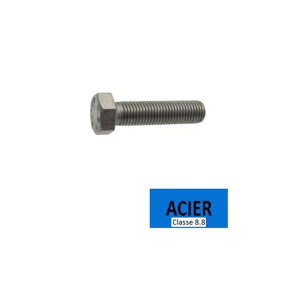 Vis TH filetage total DIN 933 classe 8.8 acier zingué 5 x 16