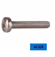 Vis métaux TC DIN 7985 "PZ" acier zingué 5x12
