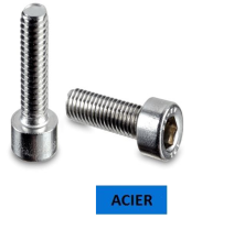 Vis CHC DIN 912 classe 8.8 acier zingué 4 x 25