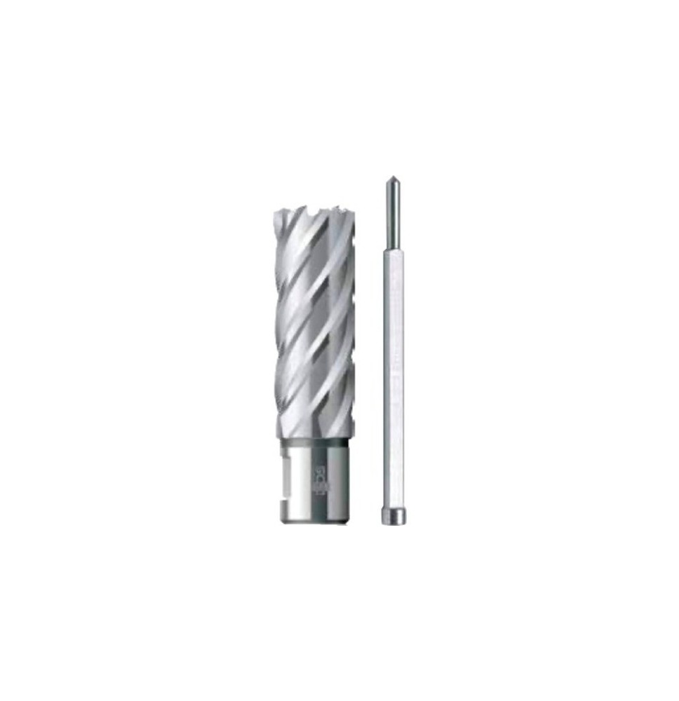 Fraise électromagnétique hss Weldon 19 Ø 22*55MM