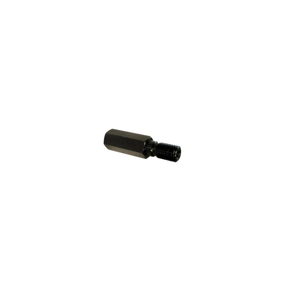 Rallonge pour couronnes 1-1/4'' Lg 300 mm